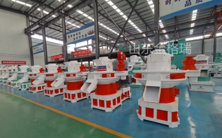 木屑制粒機(jī)主軸晃動(dòng)怎么辦？4招教你解決