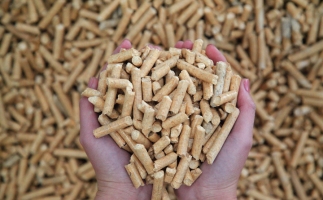 夏季儲存鋸末顆粒機(jī)生物質(zhì)顆粒的方法，要認(rèn)真看喲