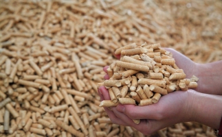 鋸末顆粒機生物質(zhì)顆粒，你需要知道的常識問題