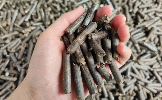 生物質(zhì)顆粒燃料公司前景怎么樣，木屑顆粒機(jī)的顆粒燃料賣(mài)給誰(shuí)的？