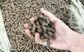 木屑顆粒機(jī)將秸稈變廢為寶，降碳節(jié)能一舉兩得