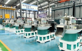 快來看看，木屑顆粒機如何將各種廢棄物料轉(zhuǎn)化為顆粒燃料的